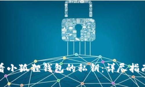 如何查看小狐狸钱包的私钥：详尽指南与解答