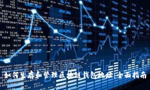 如何生存和管理区块链钱包地址：全面指南