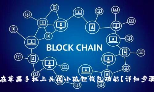 如何在苹果手机上关闭小狐狸钱包功能？详细步骤解析