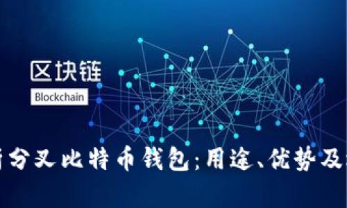 全面解析分叉比特币钱包：用途、优势及选购指南