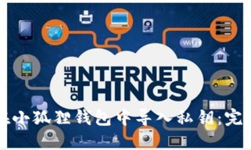 如何在小狐狸钱包中导入私钥：完整指南