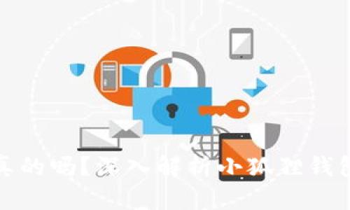 小狐狸钱包充币是真的吗？深入解析小狐狸钱包的安全性与真实性