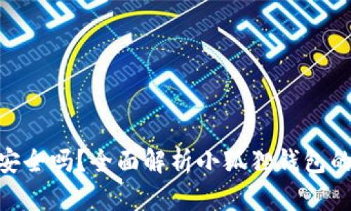 : 小狐狸钱包发币安全吗？全面解析小狐狸钱包的安全性与使用体验