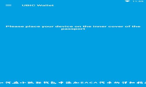 如何在小狐狸钱包中添加RACA代币的详细指南