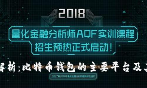 全面解析:比特币钱包的主要平台及其特点