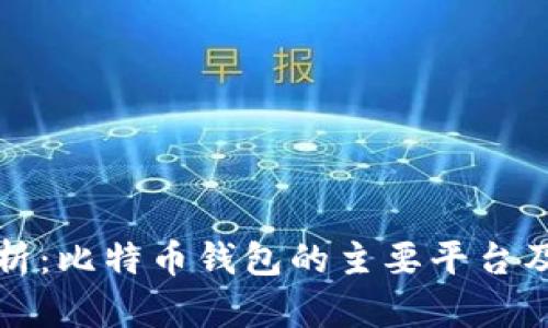 全面解析：比特币钱包的主要平台及其特点