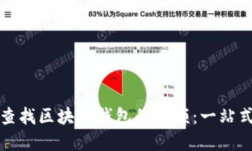 如何查找区块链钱包的金额：一站式指南