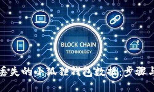 如何找回丢失的小狐狸钱包数据：步骤与技巧详解