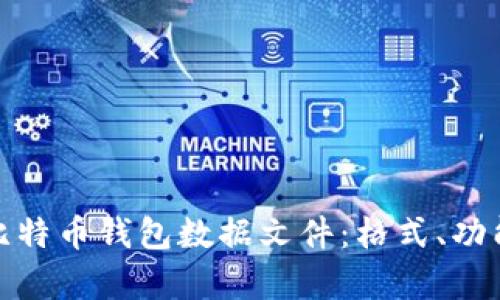 全面解析比特币钱包数据文件：格式、功能与安全性