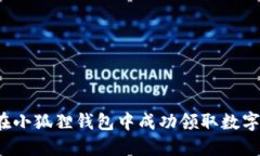 如何在小狐狸钱包中成功