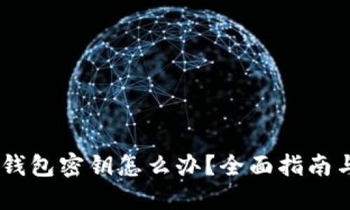 忘记USDT钱包密钥怎么办？全面指南与解决方案