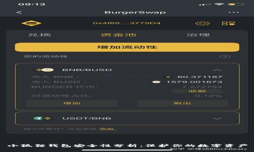 小狐狸钱包安全性分析：保护你的数字资产