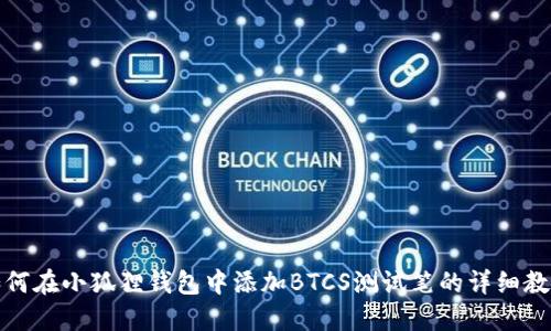 如何在小狐狸钱包中添加BTCS测试笔的详细教程