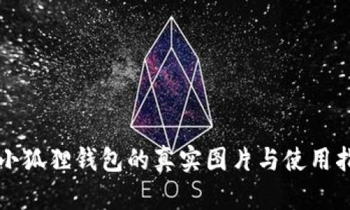盗小狐狸钱包的真实图片与使用指南
