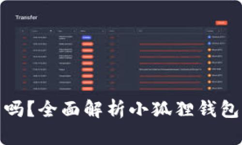 小狐狸钱包会发币吗？全面解析小狐狸钱包的功能与未来趋势