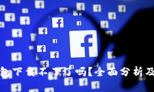 小狐狸钱包下载不了了吗？全面分析及解决方案