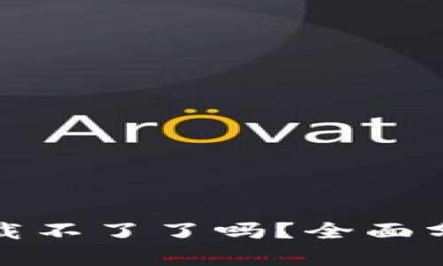 小狐狸钱包下载不了了吗？全面分析及解决方案