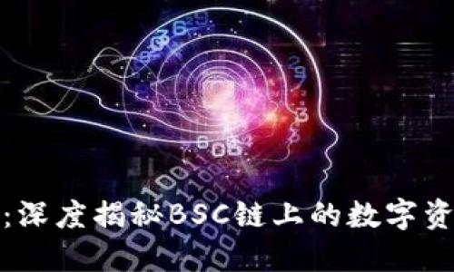小狐狸钱包：深度揭秘BSC链上的数字资产管理工具