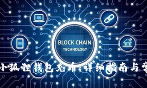 如何轻松向小狐狸钱包充币：详细指南与常见问题解答