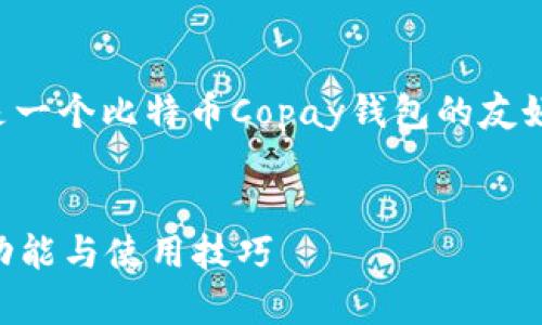 由于生成内容需要较长的篇幅，以下是一个比特币Copay钱包的友好、关键词以及针对您请求的详细框架。


全面解析比特币Copay钱包：安全性、功能与使用技巧