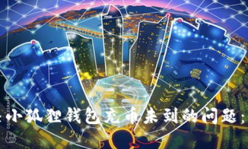 如何解决小狐狸钱包充币未到的问题：全面指南