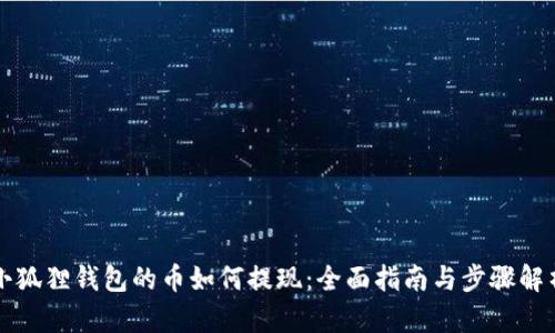 小狐狸钱包的币如何提现：全面指南与步骤解析