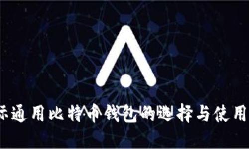 :国际通用比特币钱包的选择与使用指南