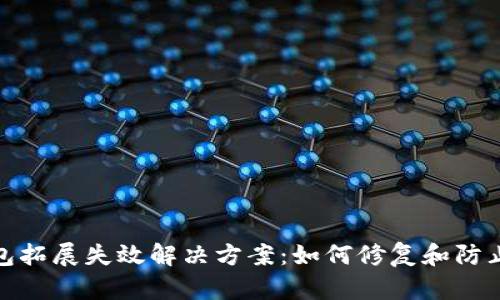 小狐狸钱包拓展失效解决方案：如何修复和防止问题出现