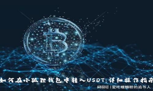 如何在小狐狸钱包中转入USDT：详细操作指南