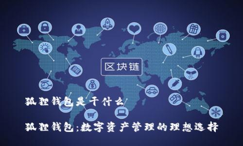 狐狸钱包是干什么

狐狸钱包：数字资产管理的理想选择