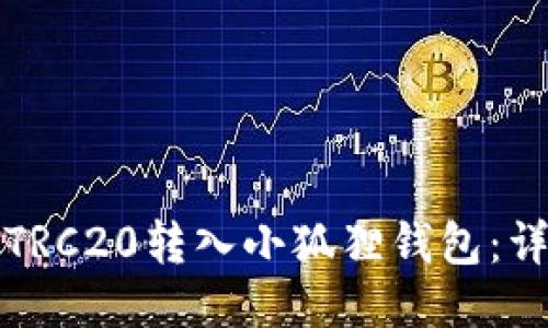 如何将波场TRC20转入小狐狸钱包：详细操作指南