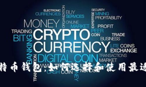 全面解析比特币钱包：如何选择和使用最适合你的钱包