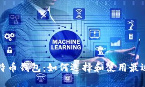 全面解析比特币钱包：如何选择和使用最适合你的钱包