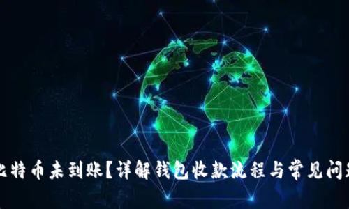 比特币未到账？详解钱包收款流程与常见问题