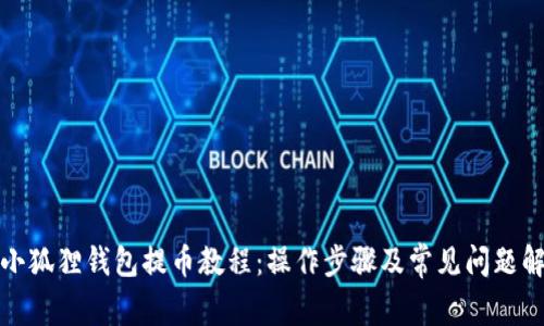 : 小狐狸钱包提币教程：操作步骤及常见问题解析