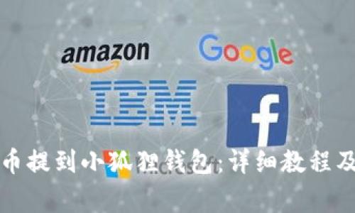 如何将数字货币提到小狐狸钱包：详细教程及常见问题解答