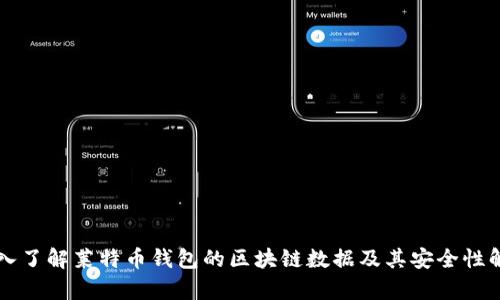 深入了解莱特币钱包的区块链数据及其安全性解析