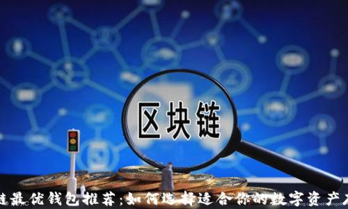 
玩区块链最优钱包推荐：如何选择适合你的数字资产存储方案