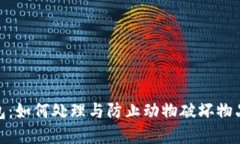 狐狸咬我的钱包：如何处