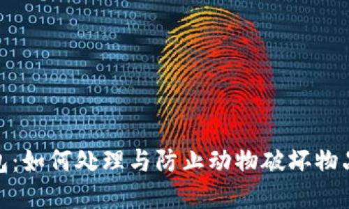 狐狸咬我的钱包：如何处理与防止动物破坏物品的技巧与建议