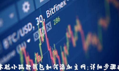 
中本聪小狐狸钱包如何添加主网：详细步骤指南