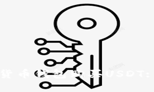 如何通过货币钱包购买USDT: 完整指南