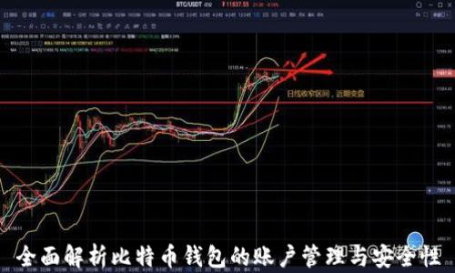 
全面解析比特币钱包的账户管理与安全性