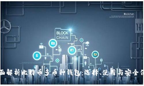 全面解析比特币多币种钱包：选择、使用与安全保障