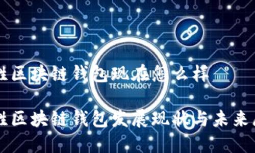 齐胜区块链钱包现在怎么样

齐胜区块链钱包发展现状与未来展望