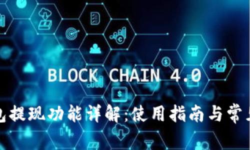 小狐狸钱包提现功能详解：使用指南与常见问题解答