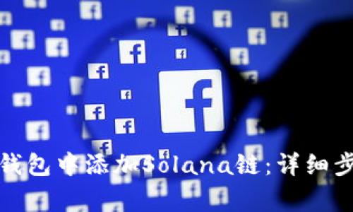 如何在小狐狸钱包中添加Solana链：详细步骤与注意事项