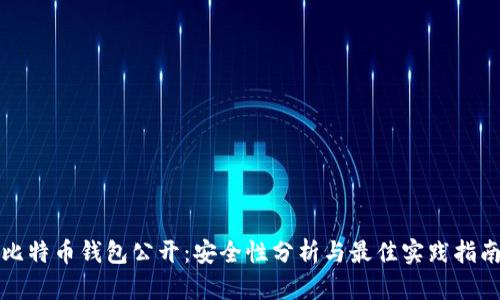 比特币钱包公开：安全性分析与最佳实践指南