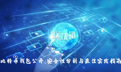 比特币钱包公开：安全性分析与最佳实践指南