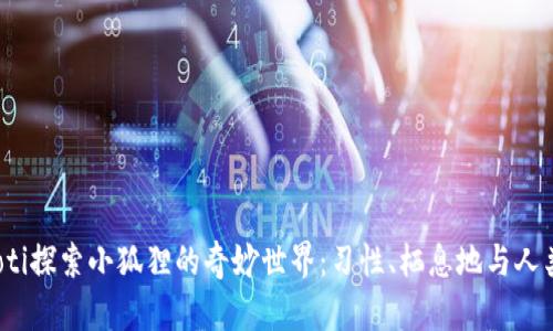 bianoti探索小狐狸的奇妙世界:习性、栖息地与人类关系